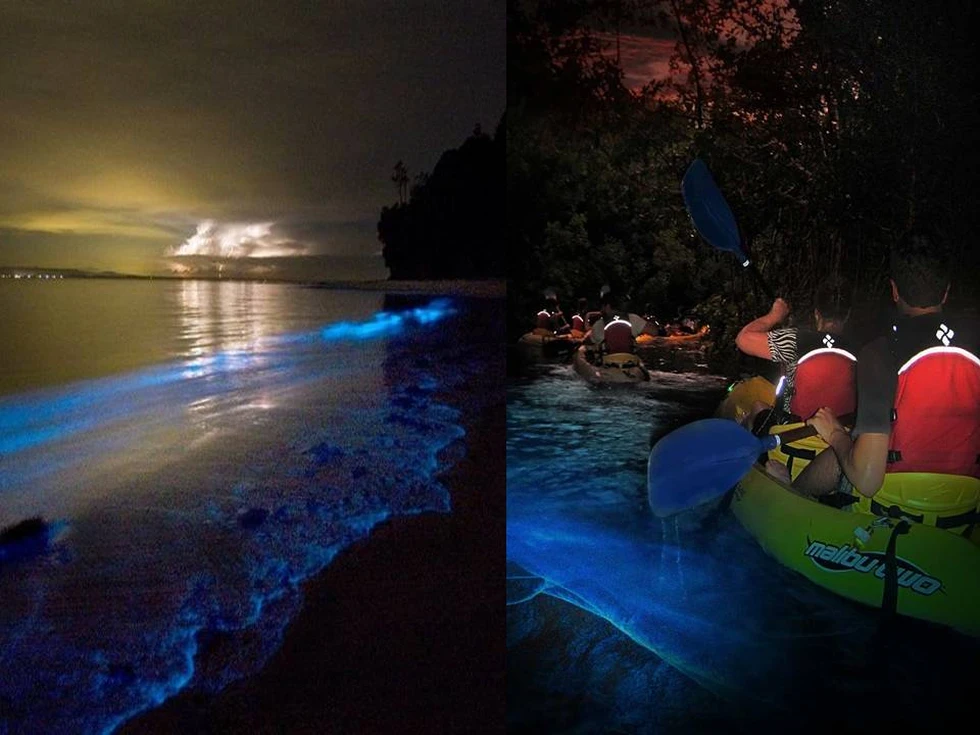 Kayak en aguas bioluminiscentes, una maravilla...