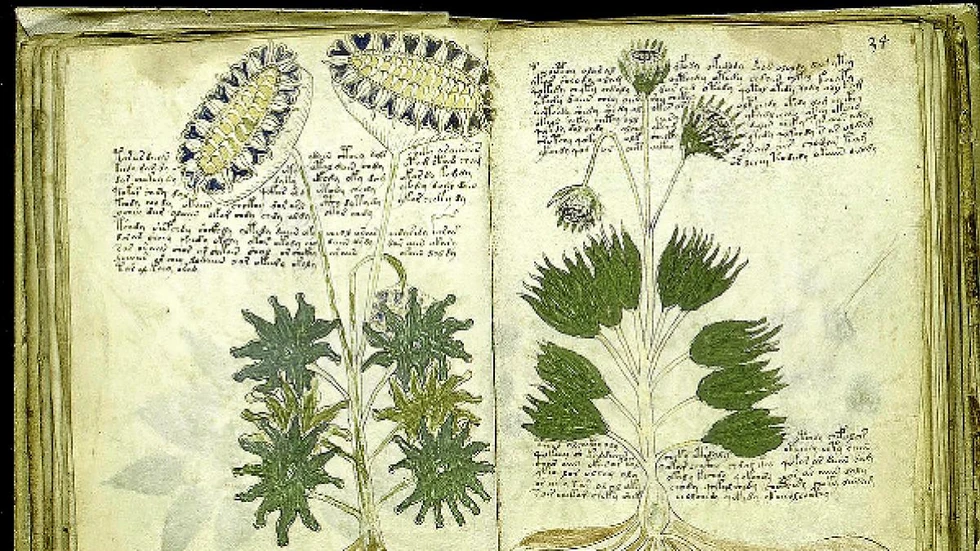 El Manuscrito Voynich: el texto más misterioso del mundo