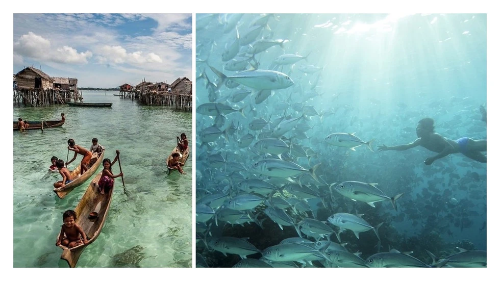 Los Bajau, una tribu con una capacidad extraordinaria...