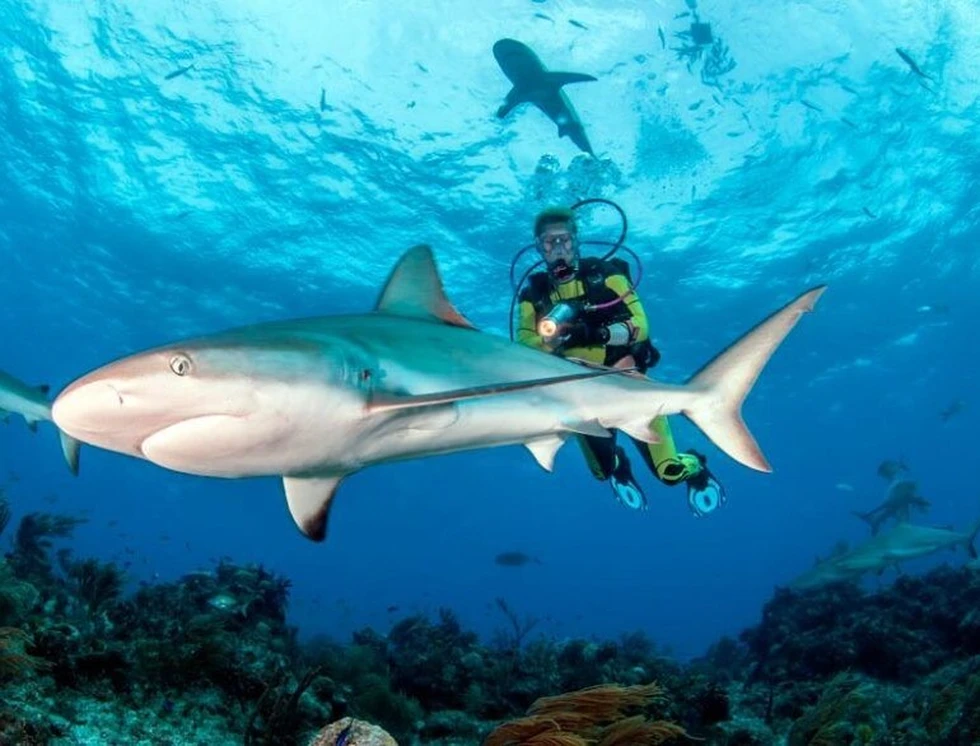 Las mejores actividades para divertirse en Colombia