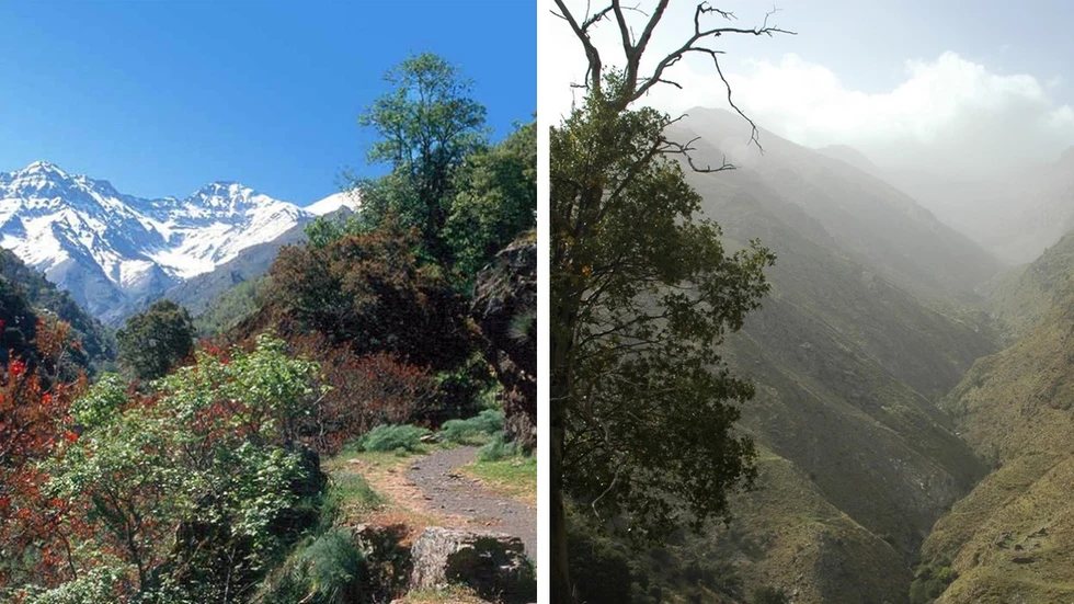La Vereda de la Estrella, el "Himalaya" granadino...
