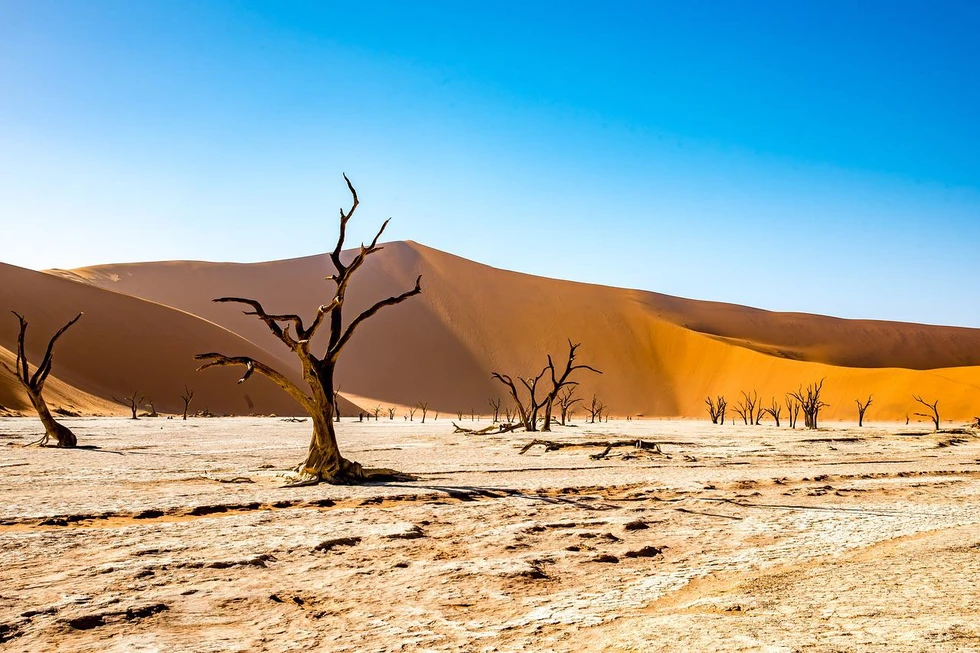 Deadvlei, los árboles muertos del Desierto del Namib