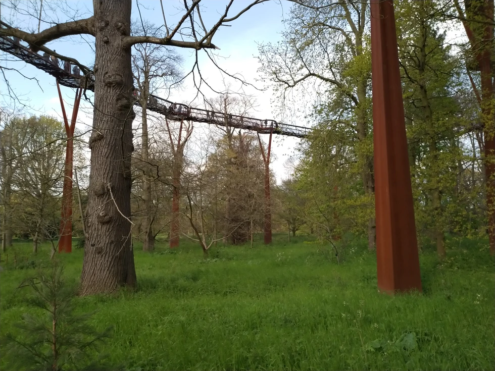 Pasarela por las copas de los árboles