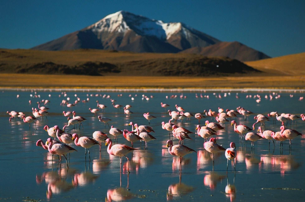20 actividades y lugares imprescindibles para visitar en Chile