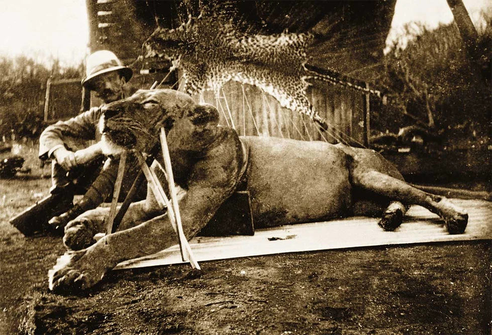 La leones devoradores de Tsavo