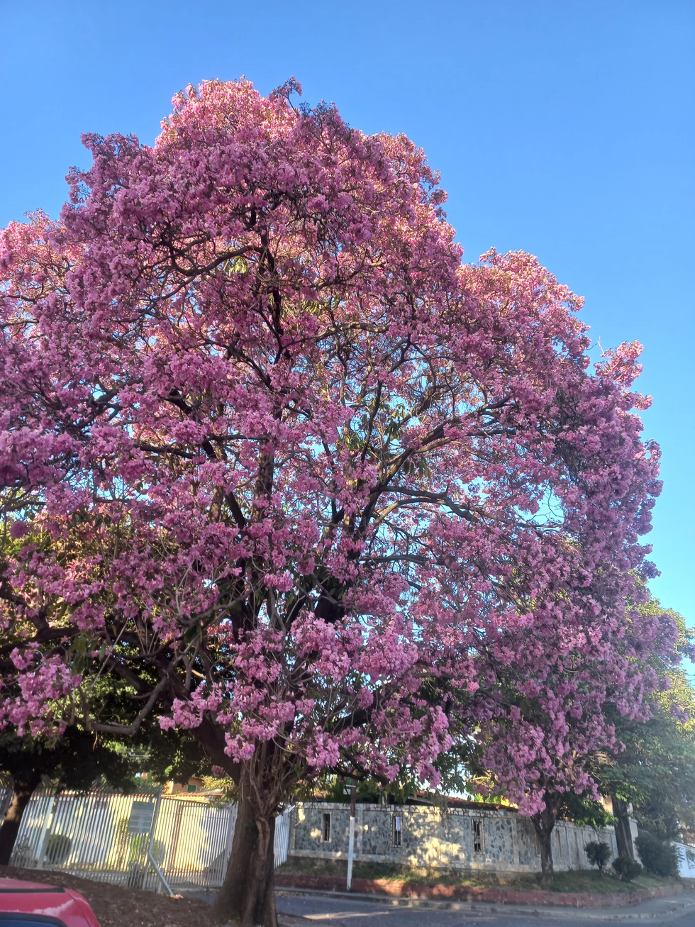 Lo bonito de mi pueblo