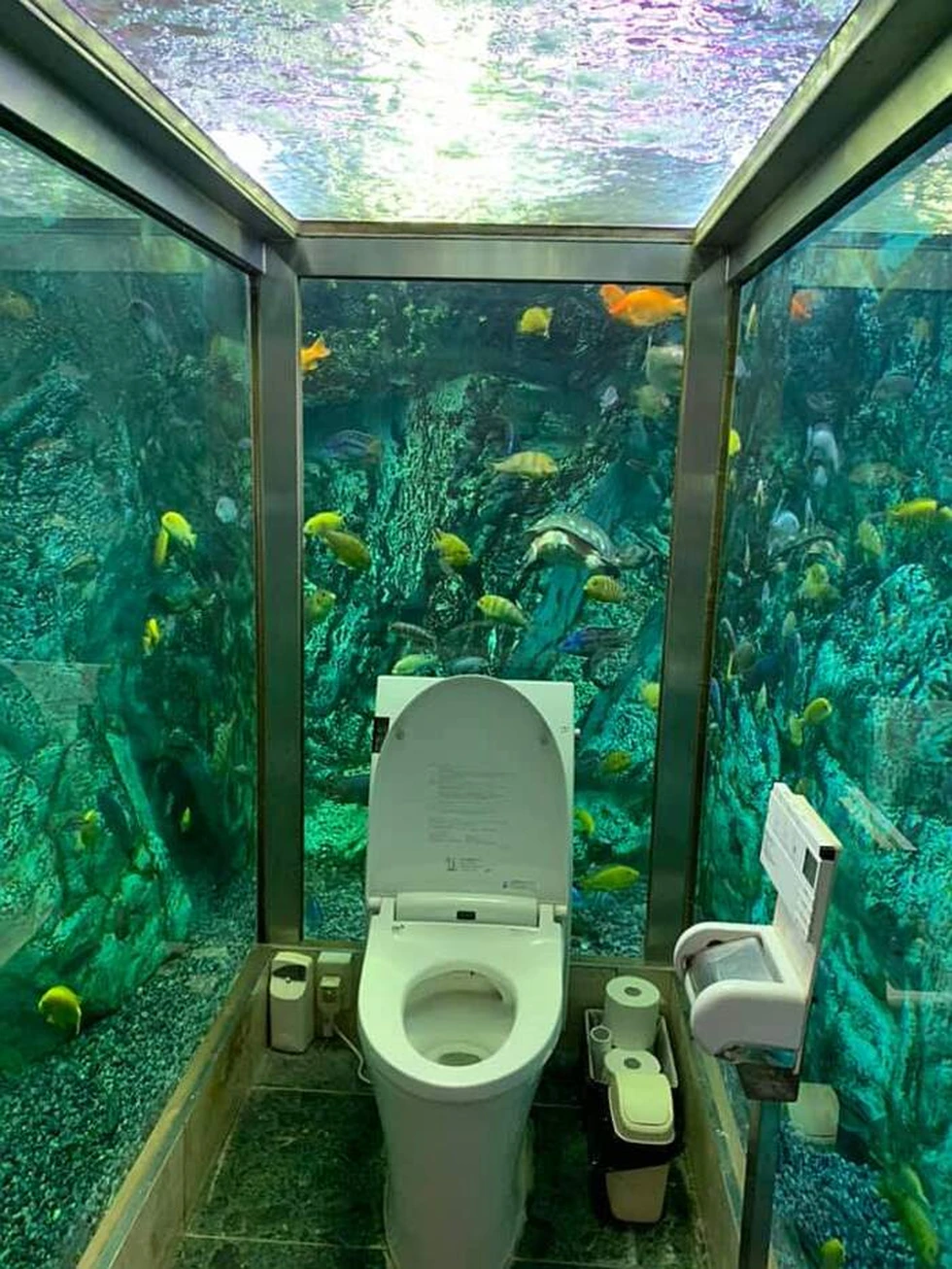 Un baño-acuario, admito que esto nunca esperé verlo...