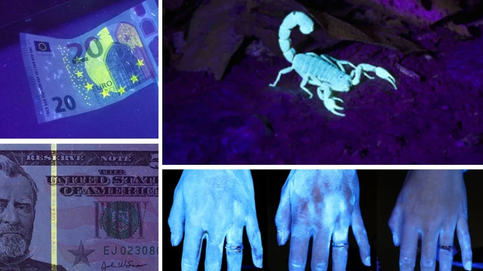 La luz negra y sus interesantes aplicaciones