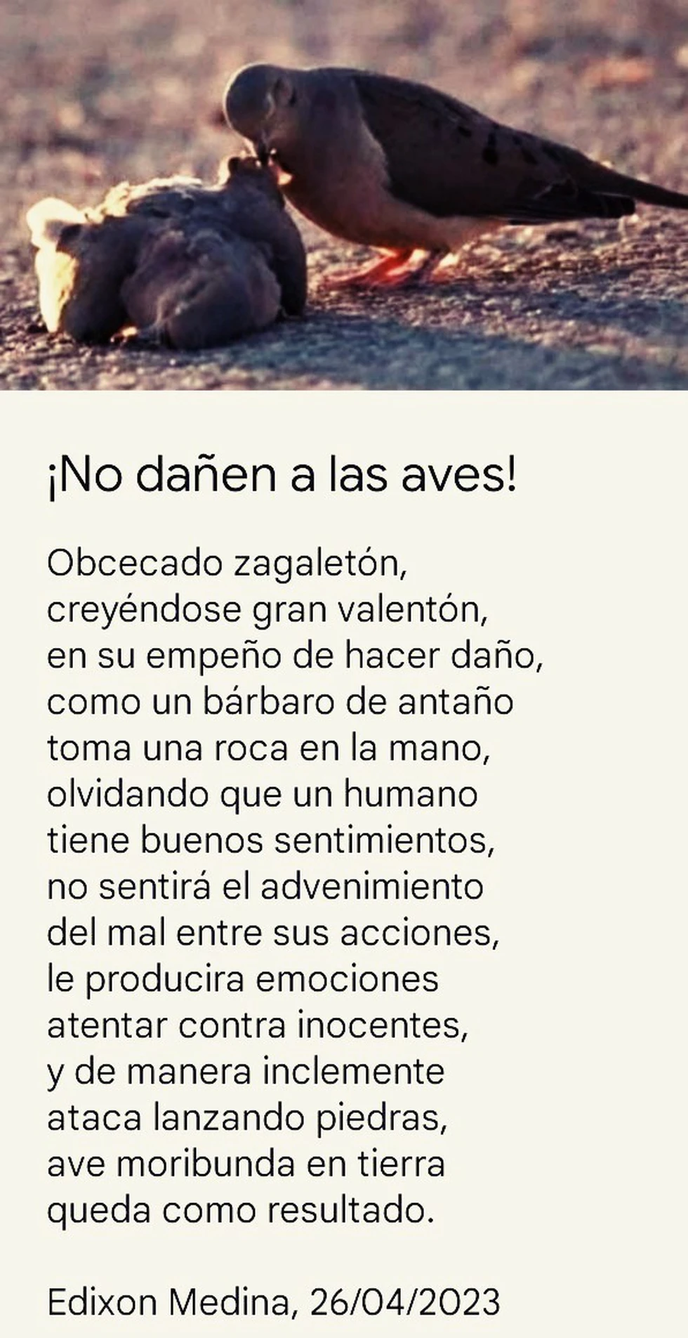 Poesía del 26 de abril del 2022