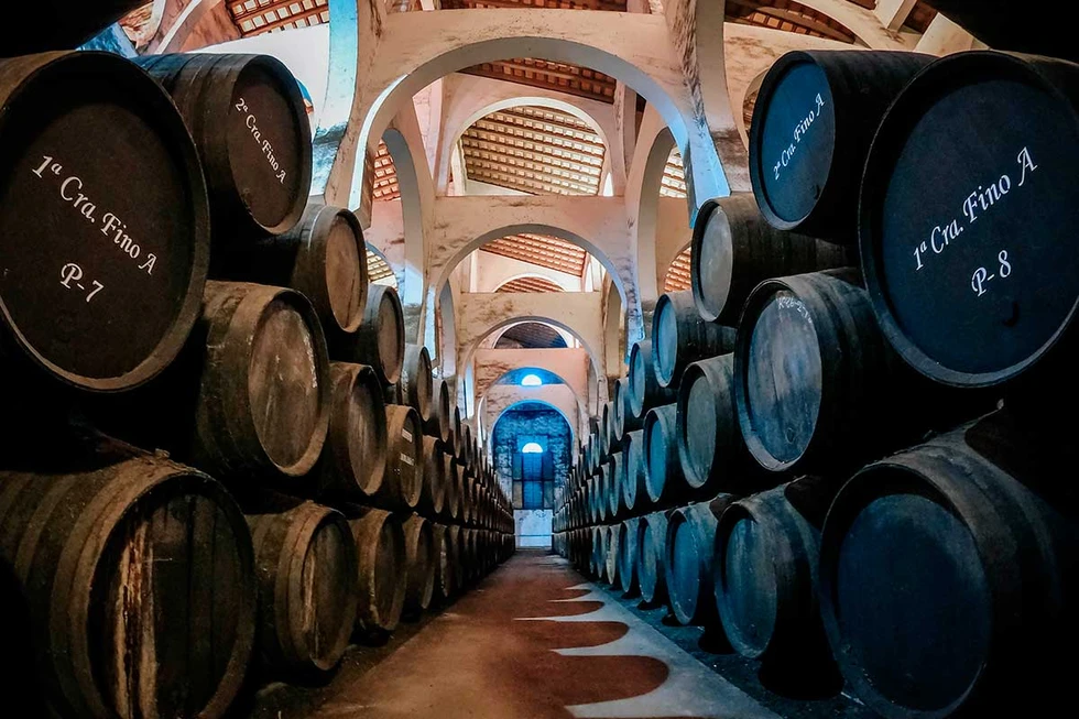 Las mejores bodegas de España para hacer una buena cata de vino  según Aladinia.com