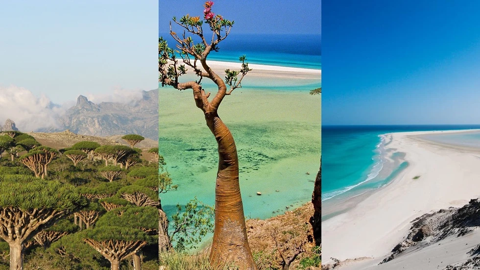 Socotra, un paraíso casi desconocido del Índico...