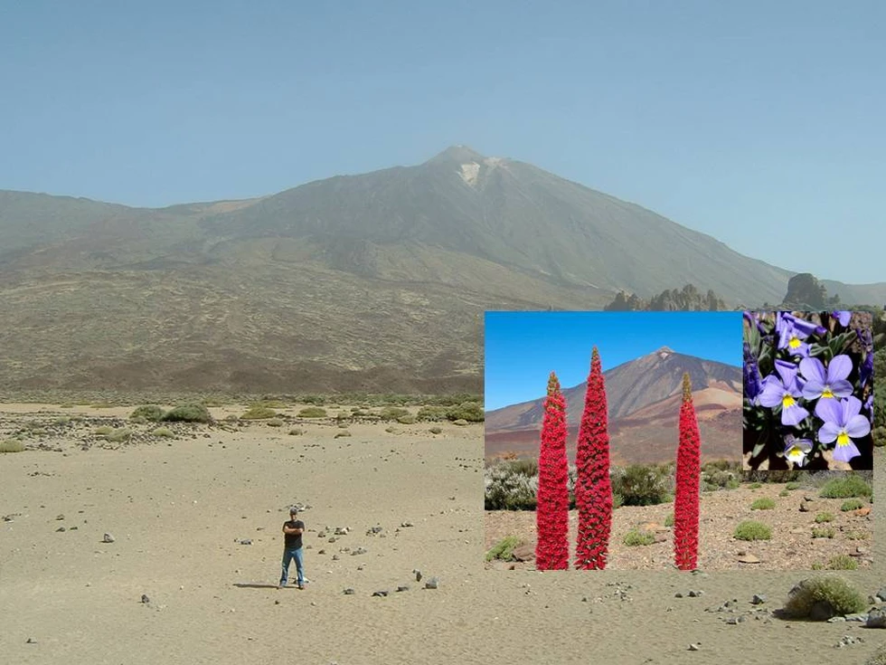Una curiosidad acerca del Teide