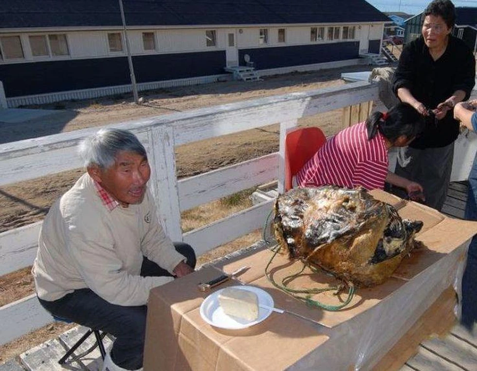 Kiviak: una curiosa tradición culinaria en Groenlandia...