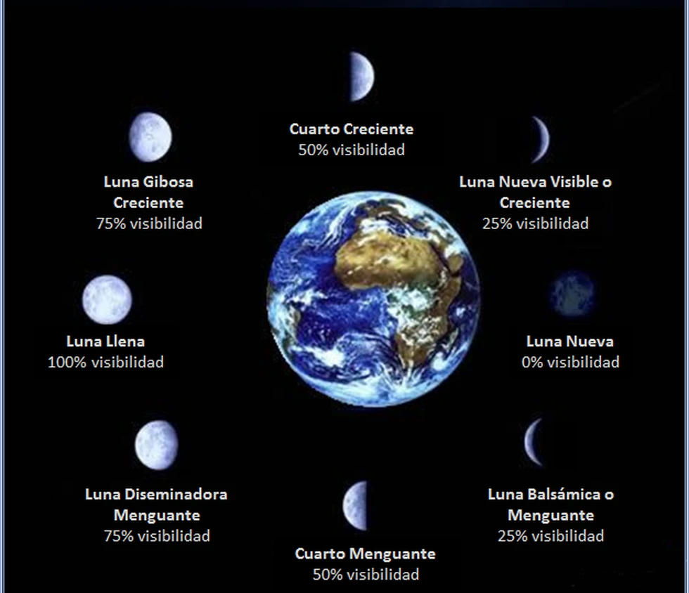 ¿Conocéis las fases de la luna?