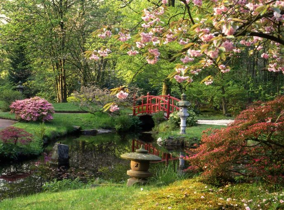 JARDÍN JAPONÉS
