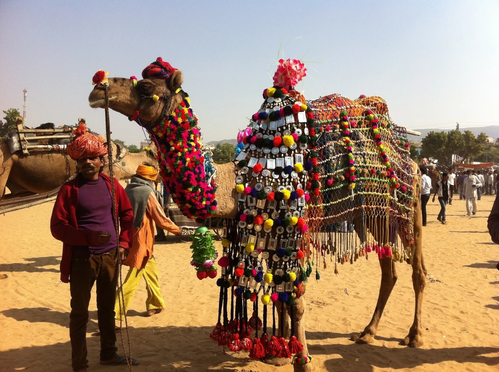 Una feria muy especial...