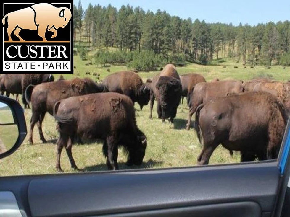 Custer State Park, pocos lugares quedan ya como éste...