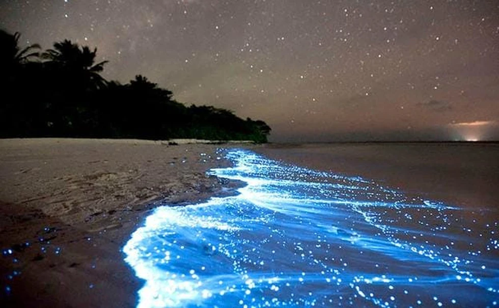 Fenómenos naturales únicos que solo ocurren en ciertos lugares del mundo