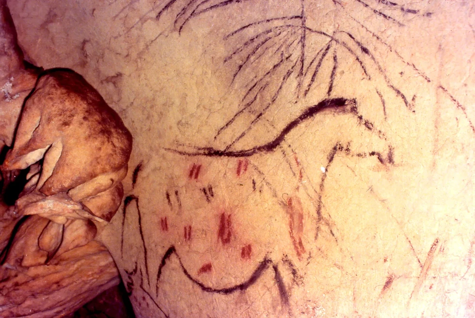 La Cueva de la Pileta