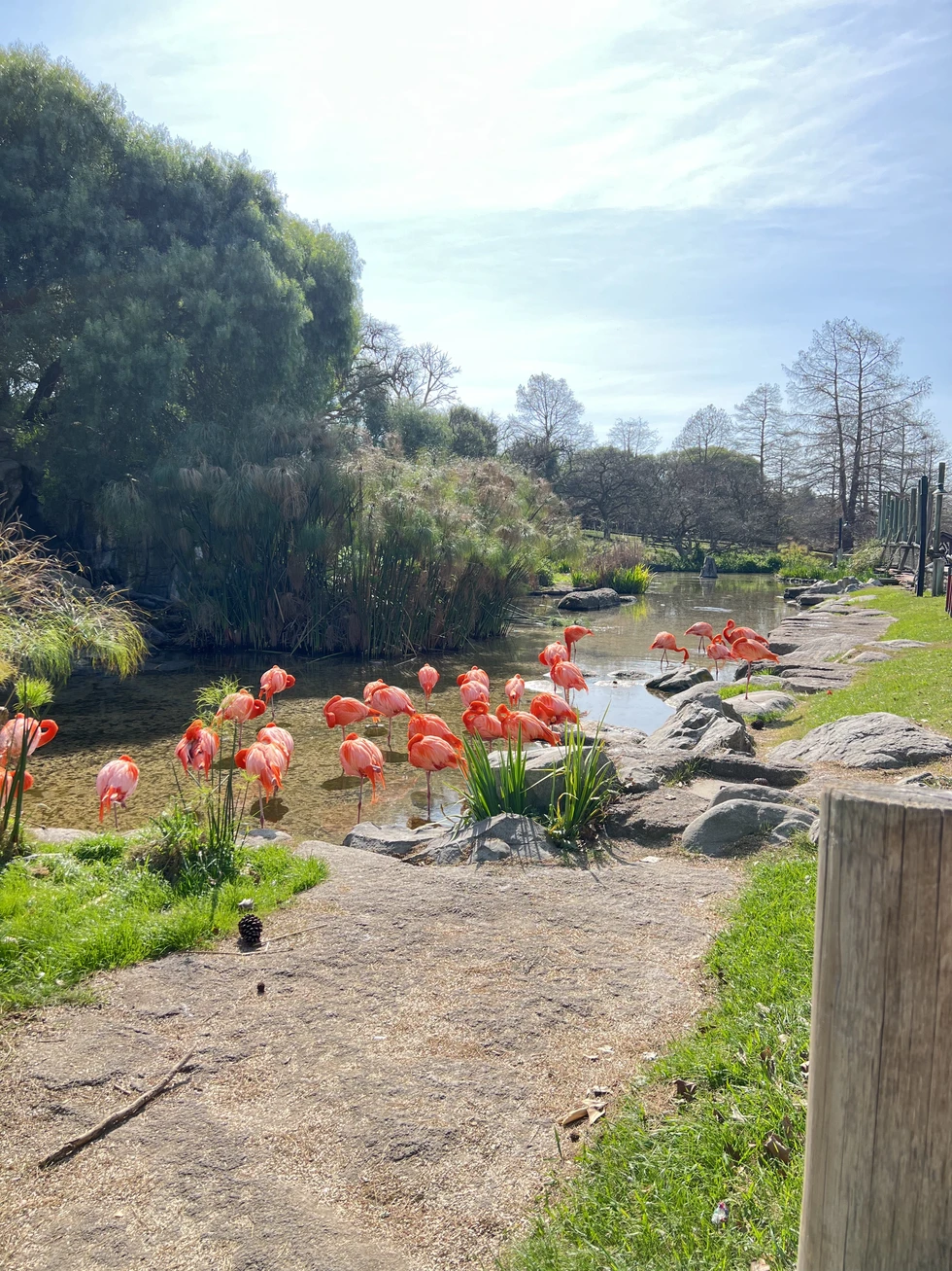 Bioparque TEMAIKEN en Argentina