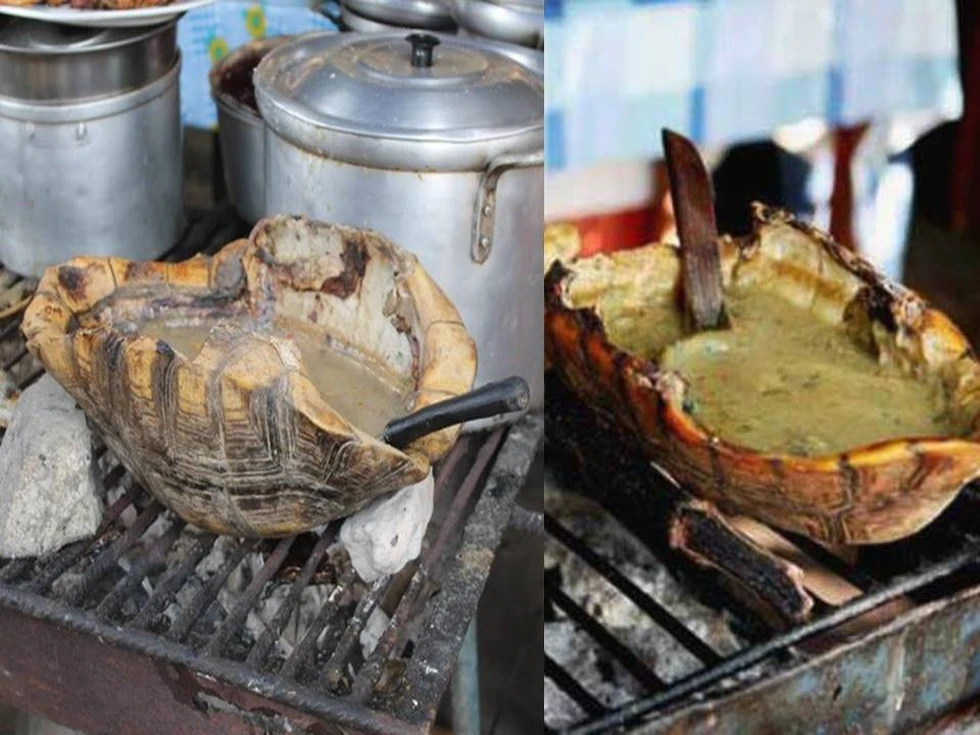 Zarapatera: una curiosa receta amazónica...