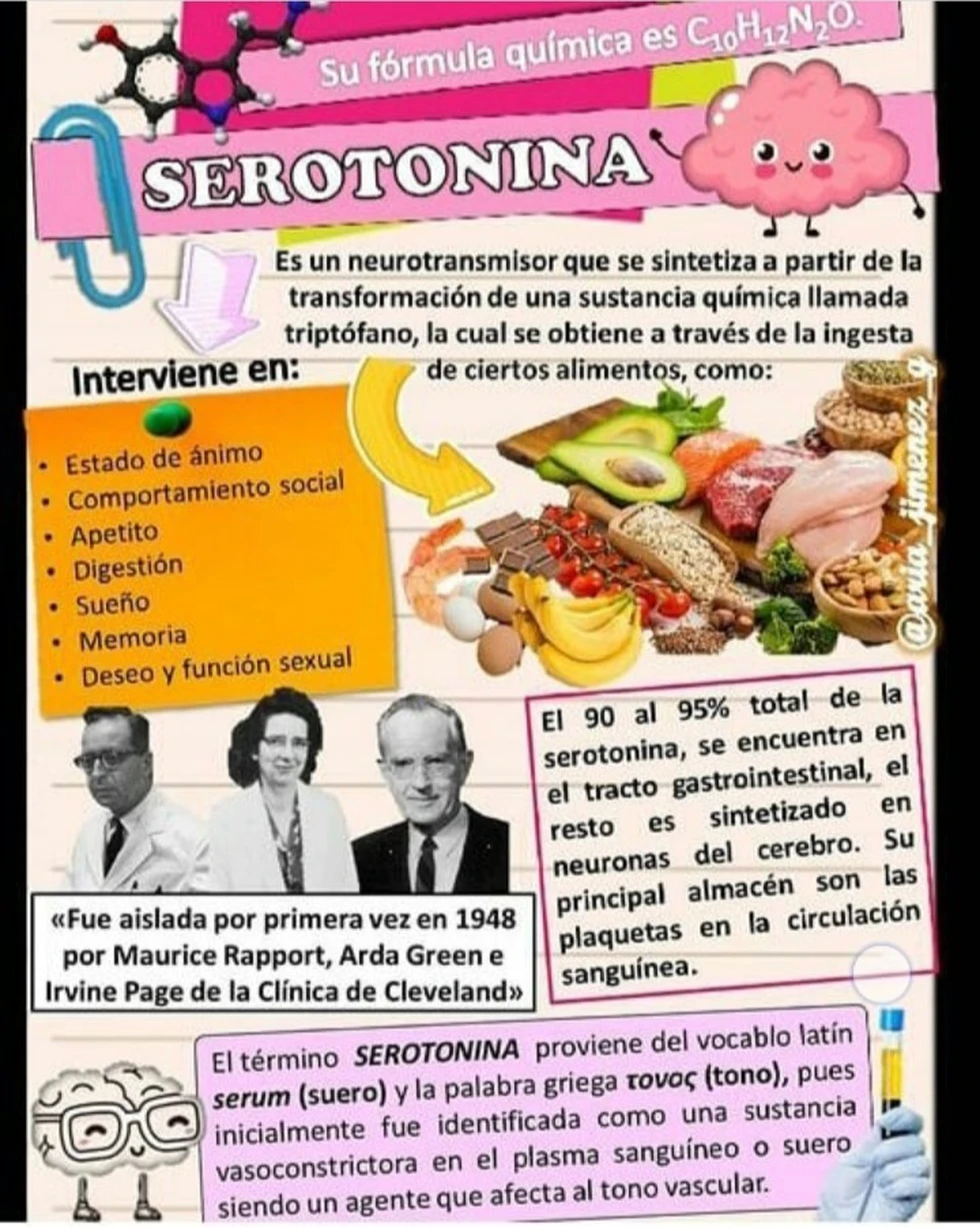 La Serotonina, ¡Un importante neurotransmisor!