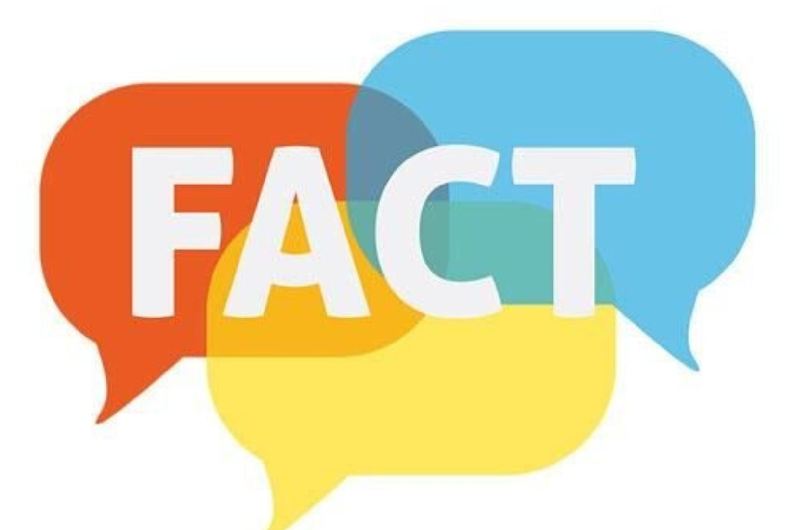 Vertaalapp 'FACT' breidt uit naar hout- en meubelsector 