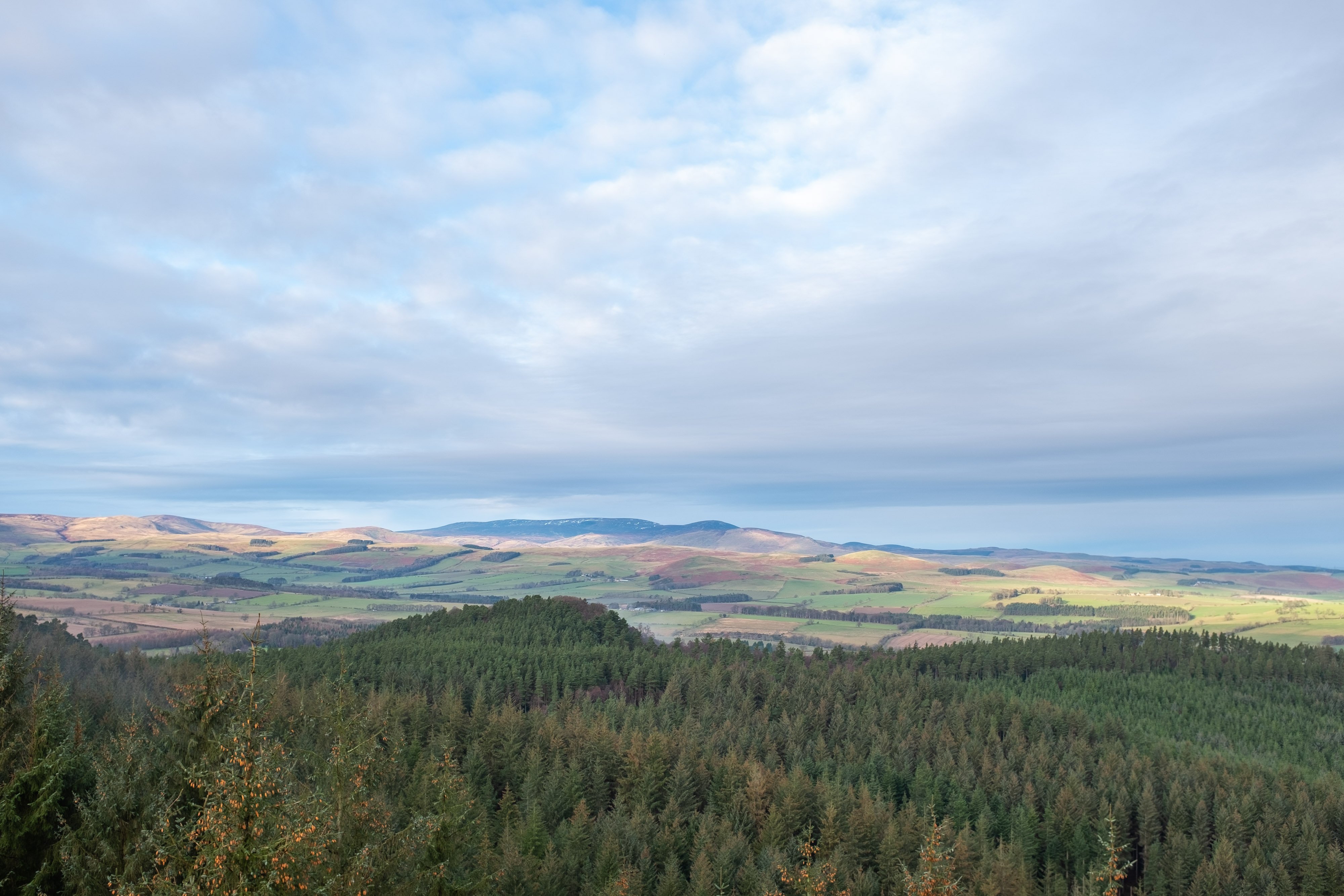 Thrumton Thrunton | Walks and Pictures