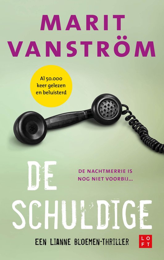 de schuldige marit vanstrom thriller recensie thrillzone spanning boek.jpg