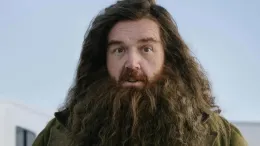 nick frost als hagrid.jpeg