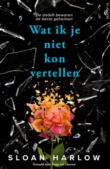 wat ik je niet kon vertellen sloan harlow young adult thriller recensie thrillzone.jpg
