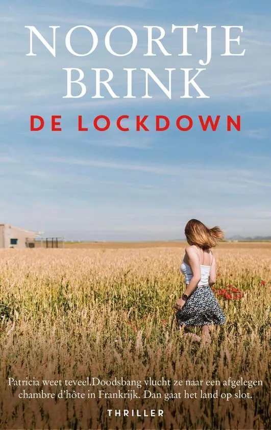De omslag afbeelding van het boek Brink, Noortje - De lockdown