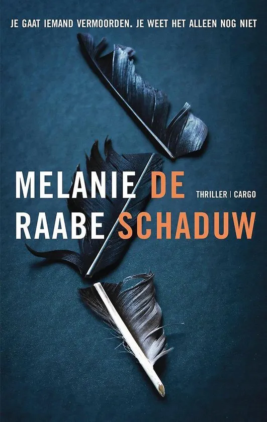 De omslag afbeelding van het boek Raabe, Melanie - De schaduw