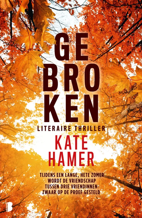 De omslag afbeelding van het boek Gebroken