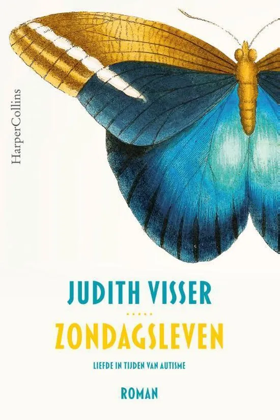 De omslag afbeelding van het boek Zondagsleven