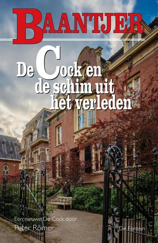 De omslag afbeelding van het boek De Cock en de schim uit het verleden