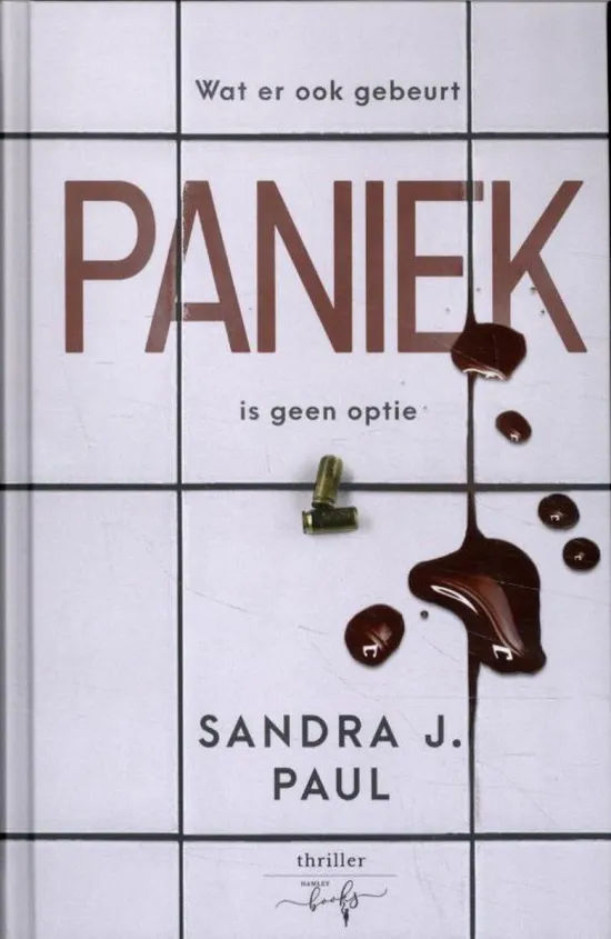 paniek sandra j paul thrillzone thriller recensie.jpg