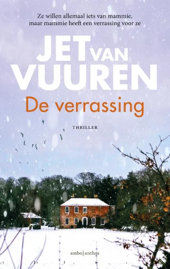 de verrassing jet van vuuren thriller thrillzone recensie.jpg