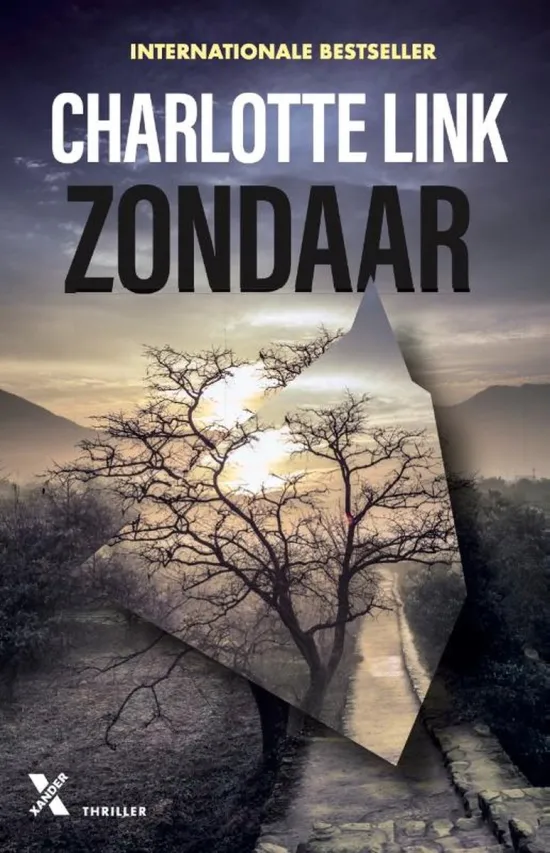 zondaar charlotte link thriller thrillzone recensie.jpg