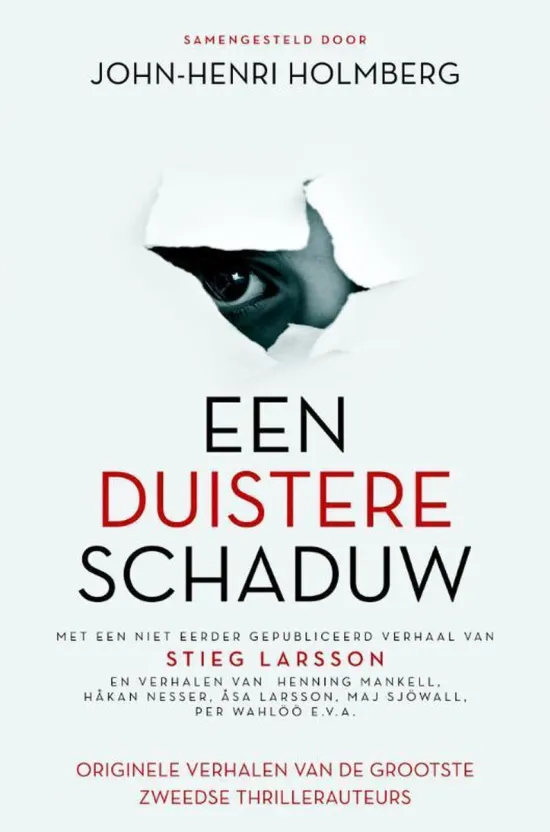 een duistere schaduw john-henri holmberg thriller recensie thrillzonwe.jpg