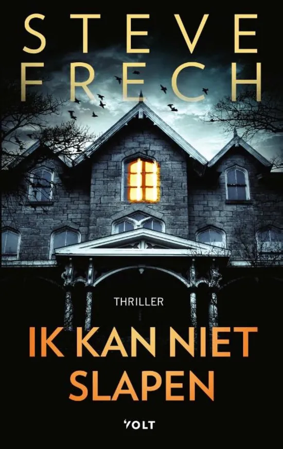 ik kan niet slapen steve frech thriller recensie thrillzone.jpg