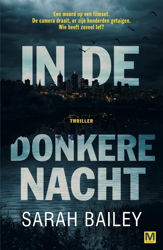 in de donkere nacht sarah bailey thrillzone recensie thriller.jpg