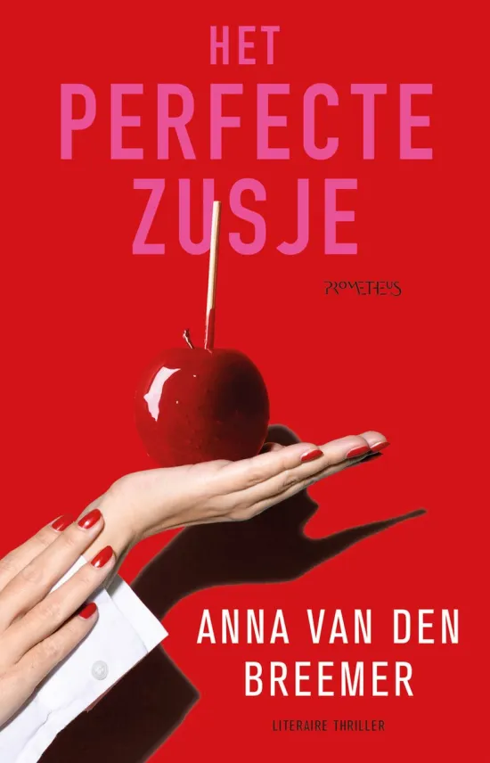 het perfecte zusje anna van der breemer thriller recensie thrillzone.jpg
