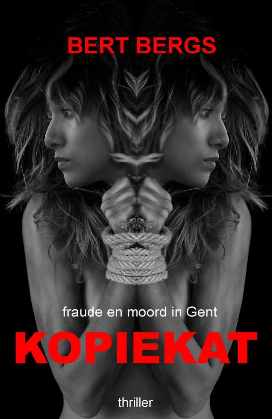kopiekat bert bergs thriller recensie thrillzone.jpg