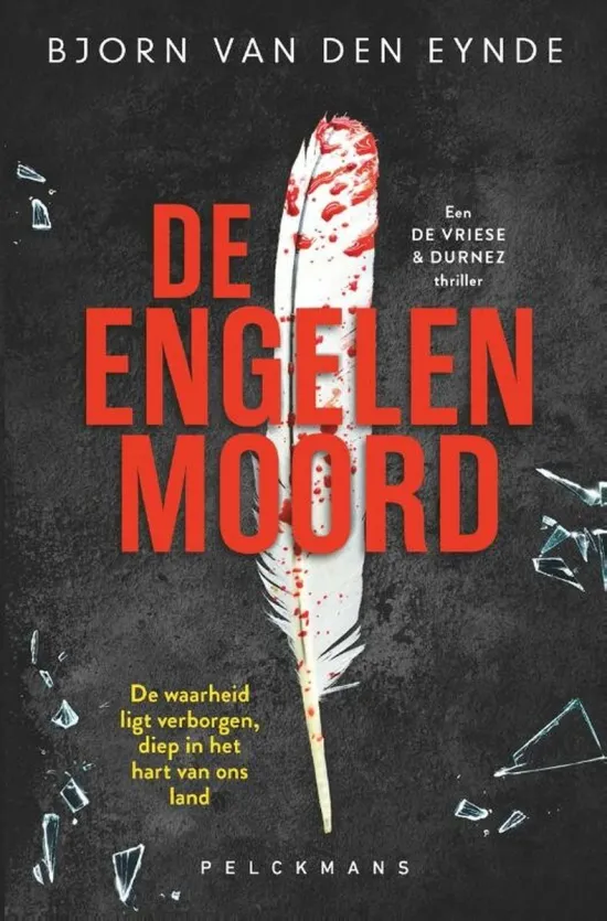 de engelenmoord Bjorn van den Eynde thriller recensie thrillzone.jpg