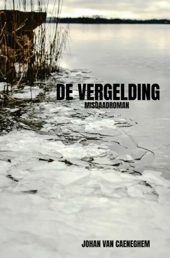 de vergelding johan van caeneghem thriller recensie thrillzone.jpg