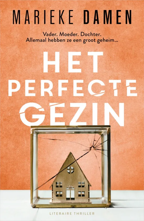 het perfecte gezin marieke damen thriller recensie thrillzone.jpg