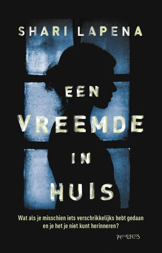 een vreemde in huis thriller shari lapena recensie thrillzone.jpg