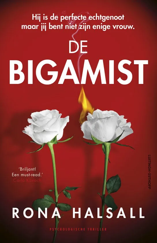de bigamist rona halsall thriller recensie thrillzone.jpg