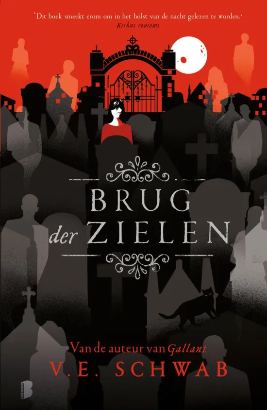 brug der zielen v.e. schwab young adult recensie thrillzone.jpg